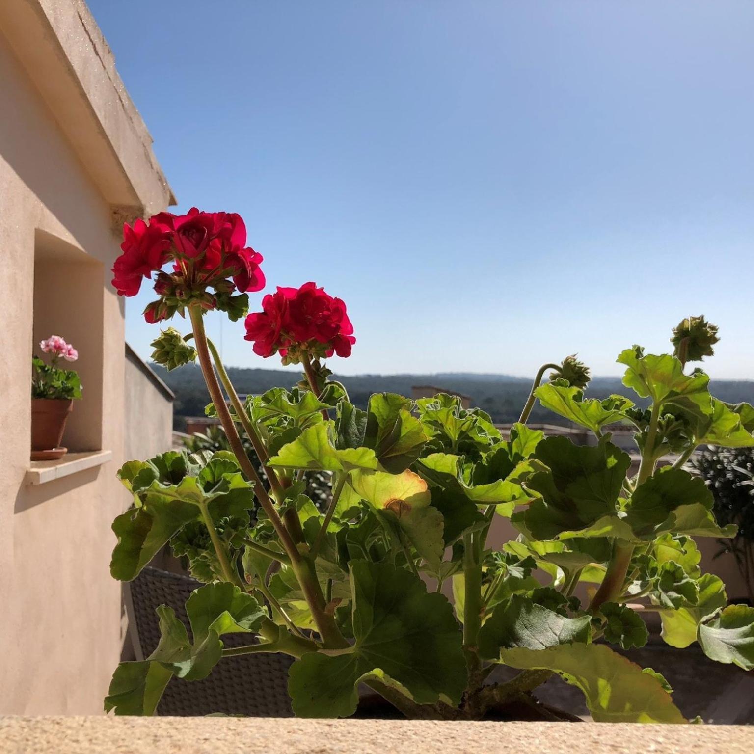 Vista De La Vila - Turismo De Interior. Llubi Room photo